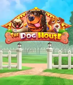 Pragmatic Play's The Dog House adventure, featuring an adorable journey through charming canines. Enjoy features including multipliers, perfect for delivering exciting wins. Perfect for animal enthusiasts an amusing setting and the opportunity to win big.