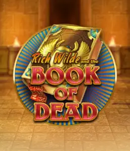 Enter the thrilling world of Book of Dead by Play'n GO, showcasing vivid graphics of Rich Wilde's journey through ancient Egyptian tombs and artifacts. Find lost riches with captivating mechanics like free spins, expanding icons, and a gamble option. Ideal for adventure enthusiasts with a desire for exciting finds.